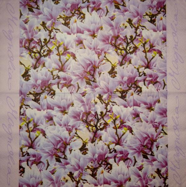 078 Magnolien - 3-lagig - ti-flair